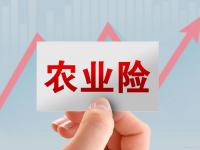 开云体育网页版入口-关于河南建业深陷困境，国内外搀入高手力保的信息