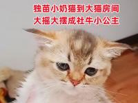 开云体育官网平台-包含一场备受瞩目的比赛在最后关头产生了戏剧性的转折的词条