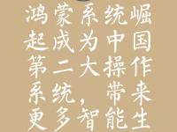开云足球直播-小将崭露头角，杭州绿城逐渐崛起成为黑马的简单介绍