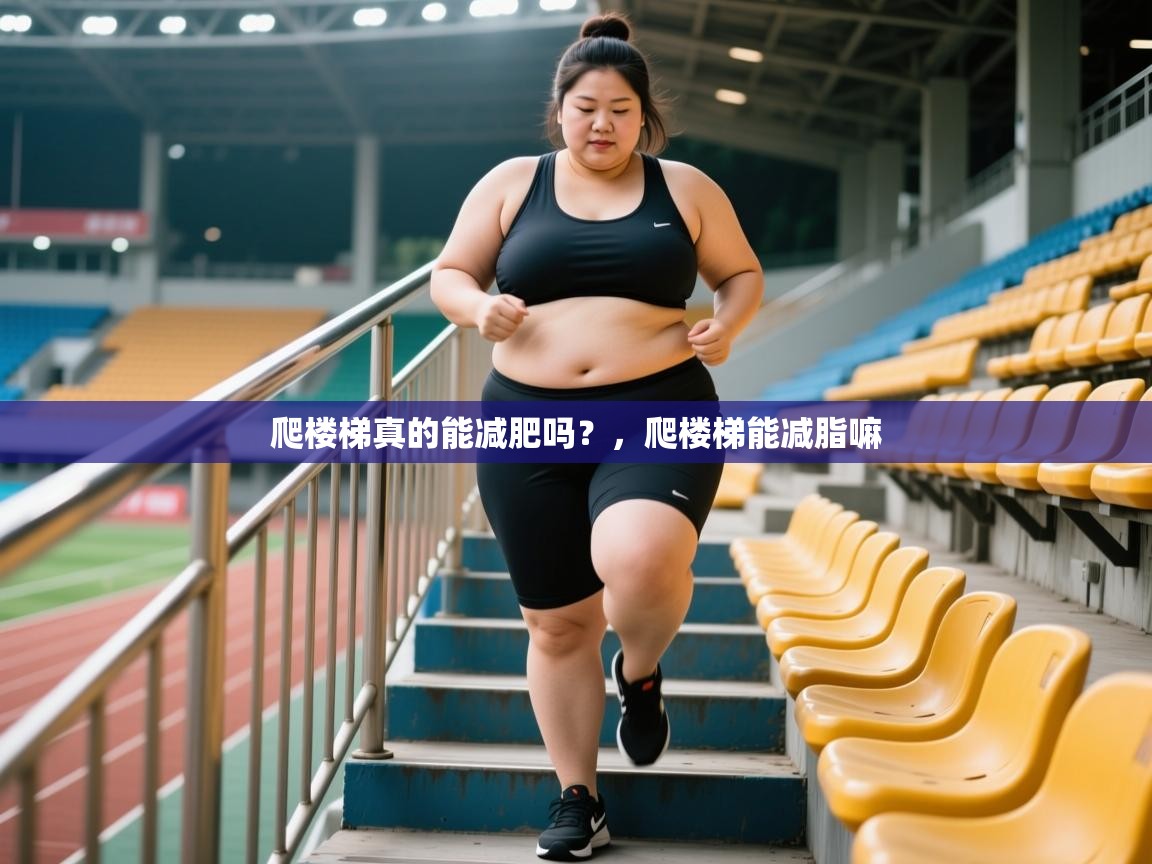2025开云体育入口网址爬楼梯真的能减肥吗？，爬楼梯能减脂嘛
