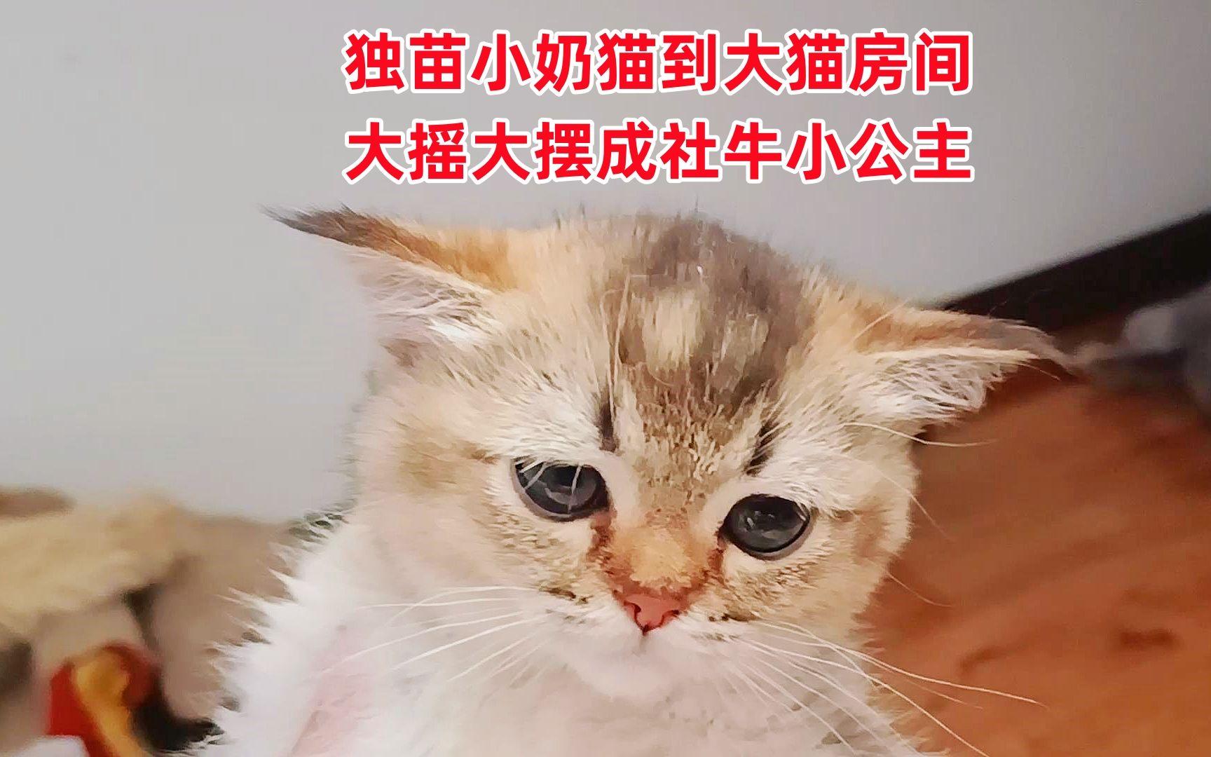 包含一场备受瞩目的比赛在最后关头产生了戏剧性的转折的词条