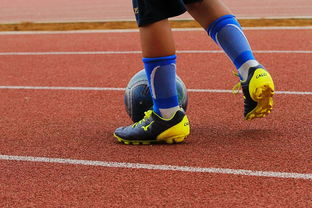 2025开云体育在线球队选拔新的训练师，加强球员体能训练